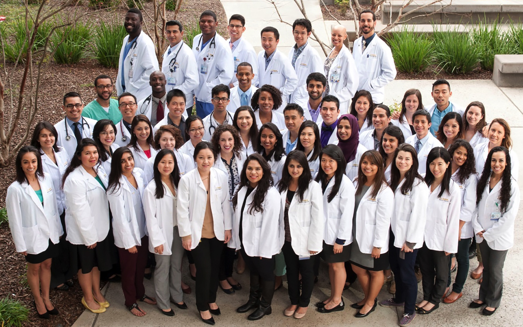 Medical student groups